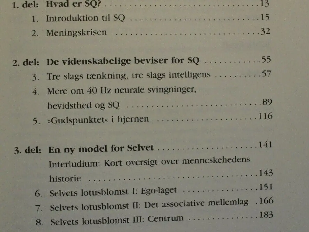 Billede 2 - spirituel intelligens - den ultimative intelligens