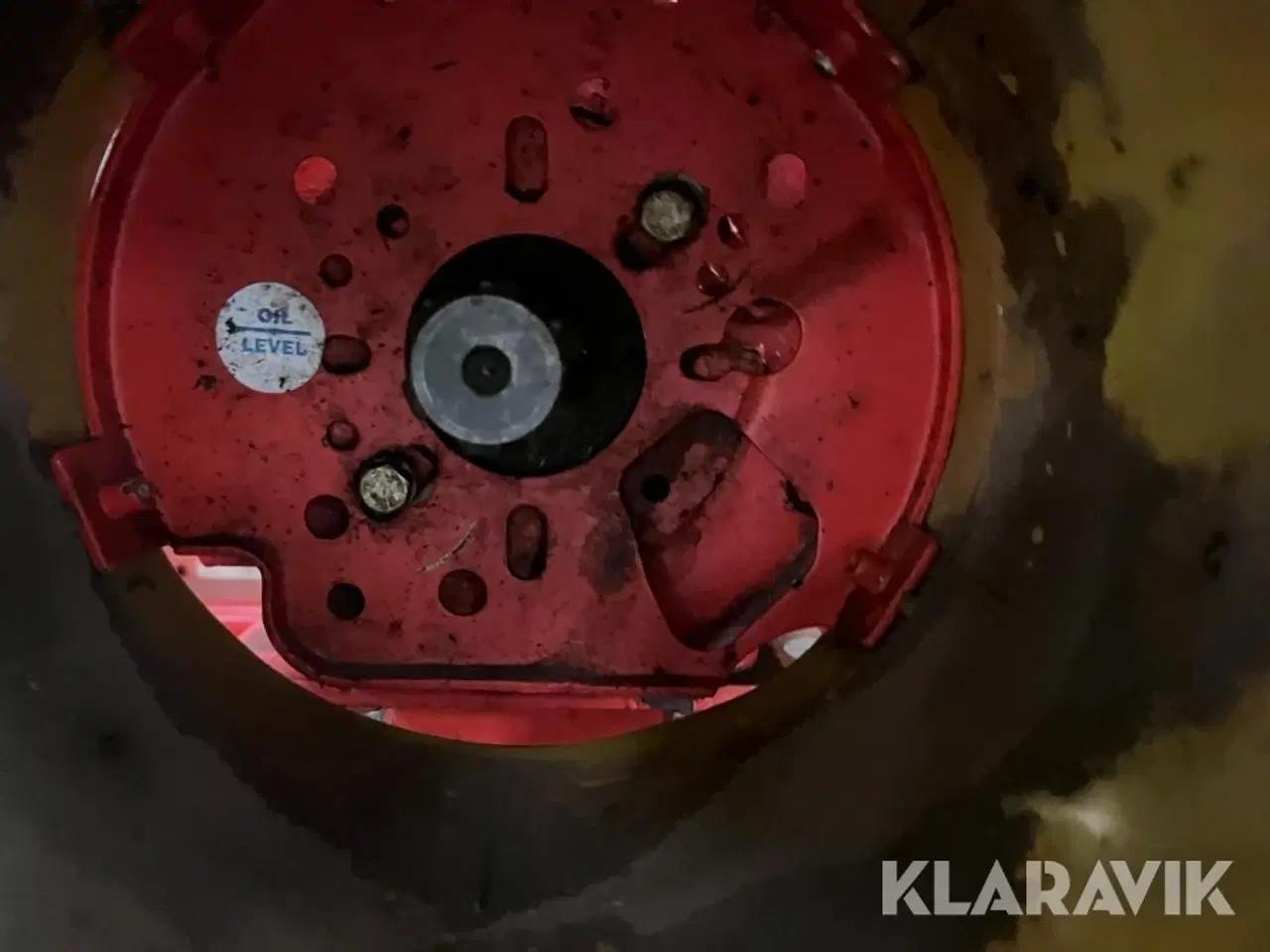 Billede 9 - Brakpudser Maschio Trincia bisonte 300