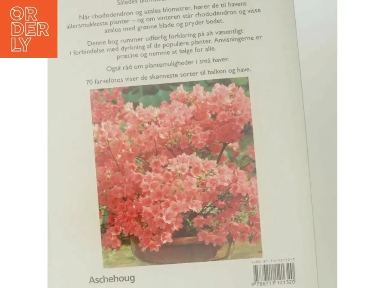 Billede 3 - Rhododendron og azalea : sådan trives og blomstrer de bedst : ekspertråd om voksesteder, plantning, pleje og formering : med sorter til have