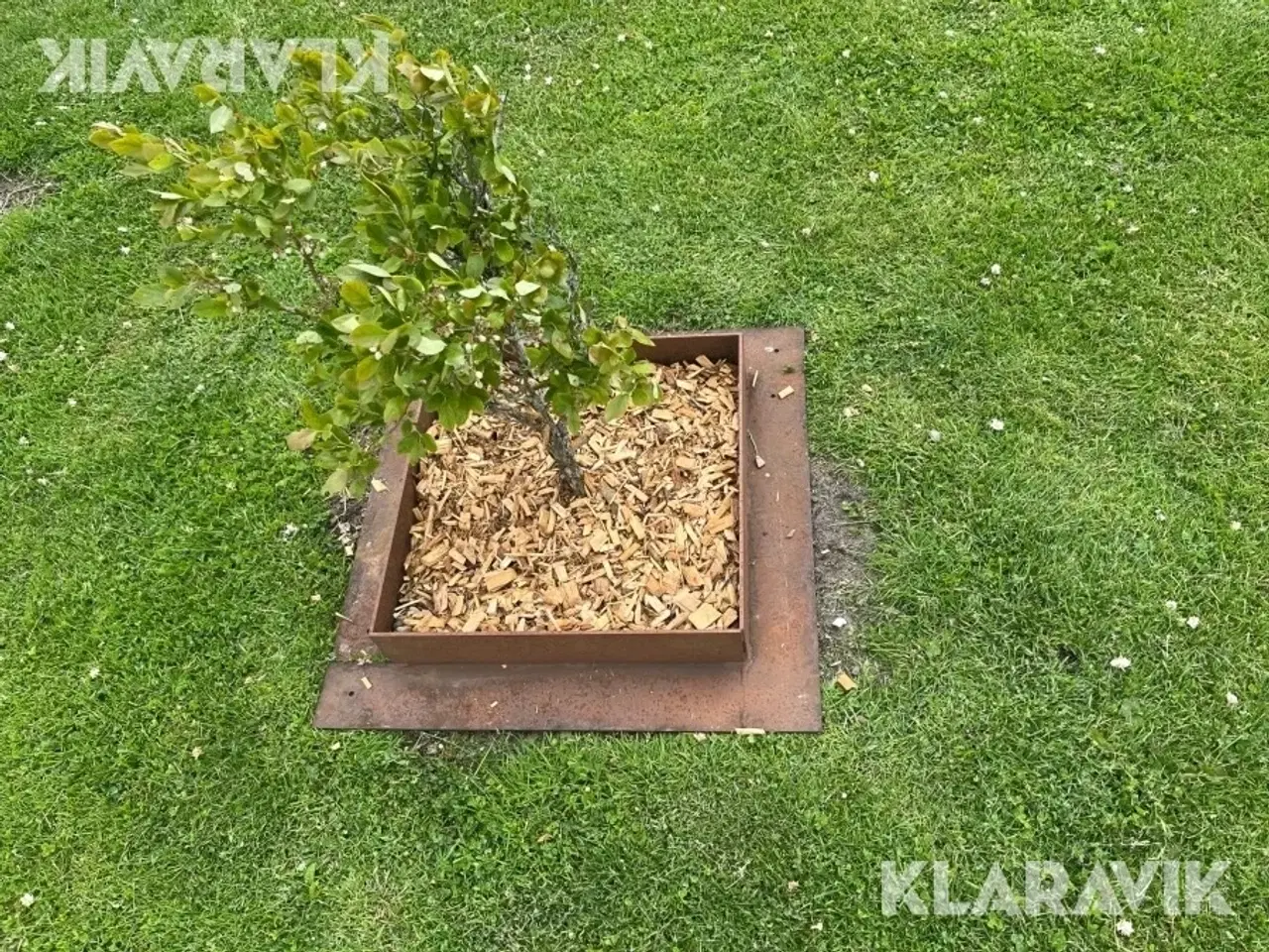 Billede 7 - Bed kanter Corten Stål