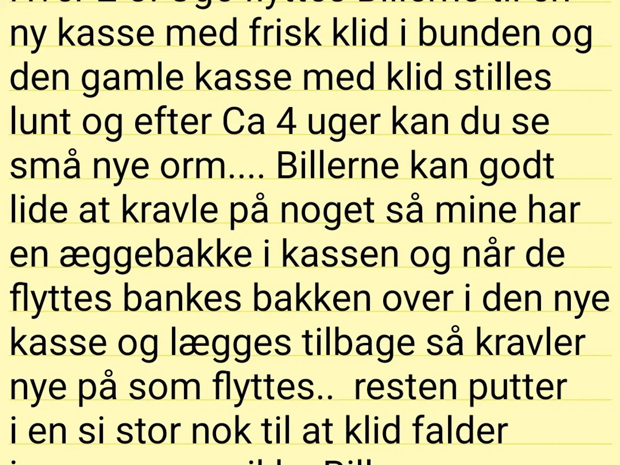 Billede 3 - Melorm farm