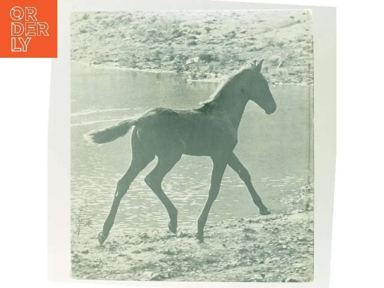 Billede 3 - Fra føl til hest af Monique og Hans D. Dossenbach (Bog)