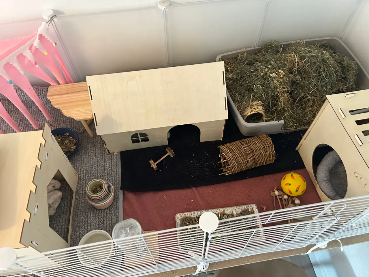 Billede 1 - Sælger to søde marsvin inklusivt buret 