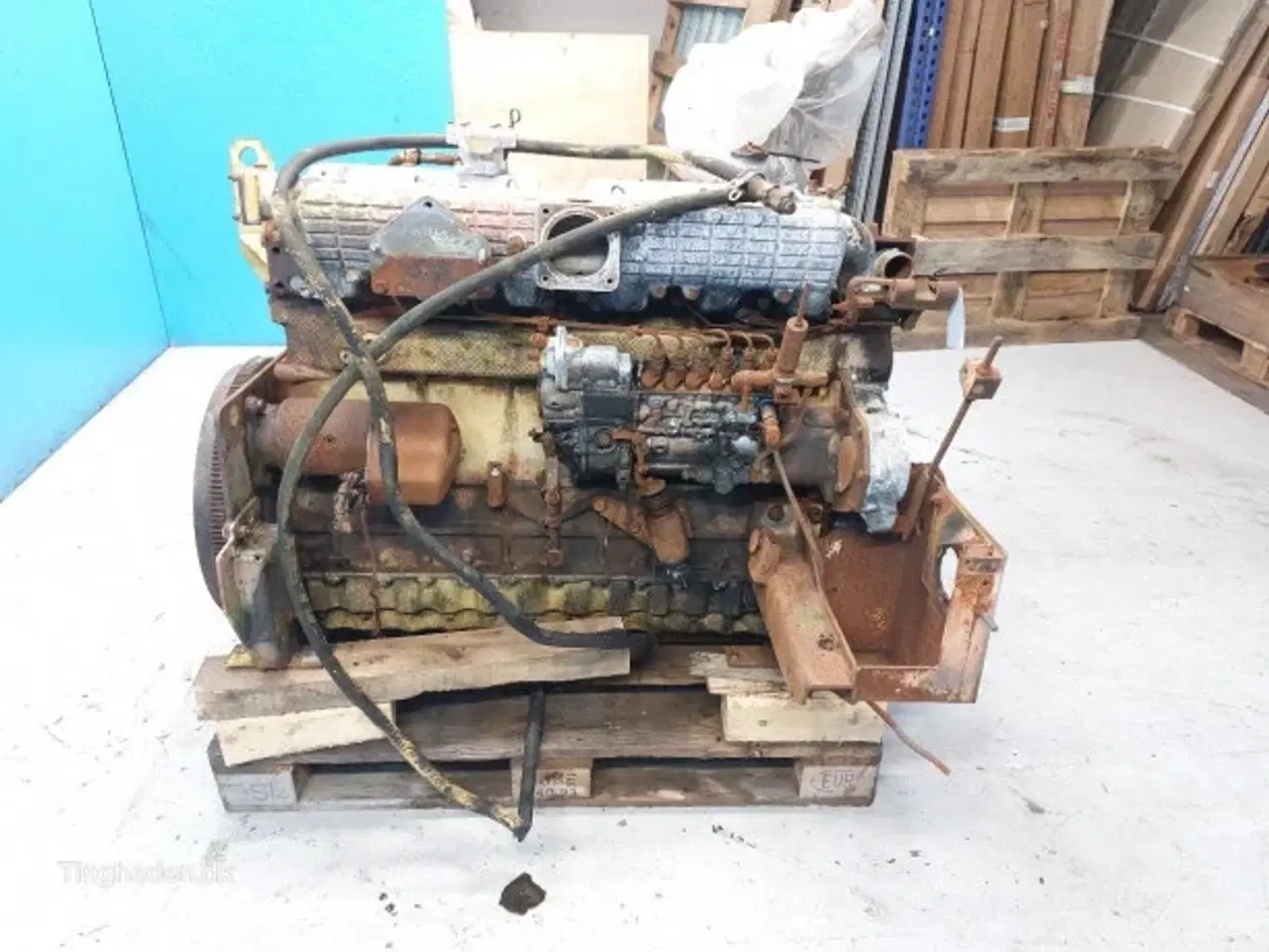 Billede 31 - New Holland TX68 Motor IVECO 8460 SRI 10