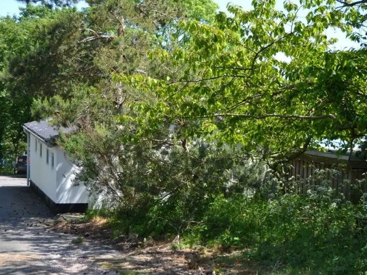 Billede 2 - Sommerhus med Bornholms bedste havudsigt - ved Årsdale mellem Nexø og Svaneke