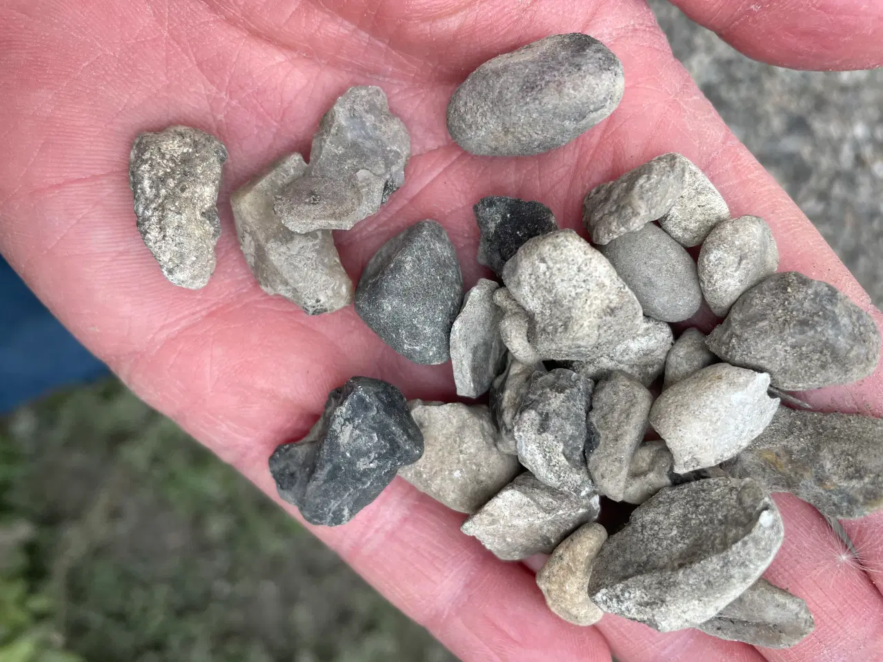 Billede 1 - 50m2 gratis skærver i Hvidovre