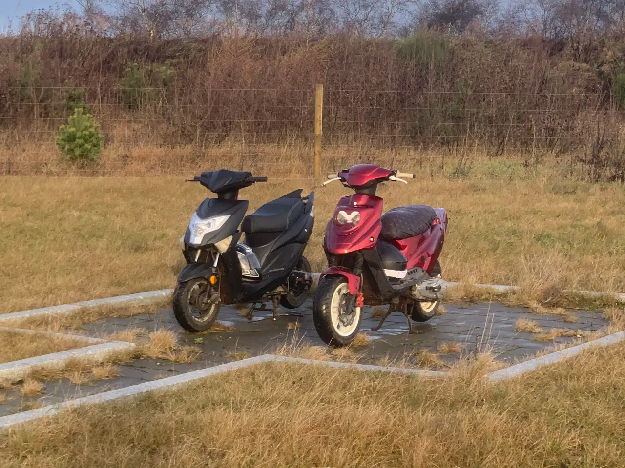 Billede 6 - Vga explora 