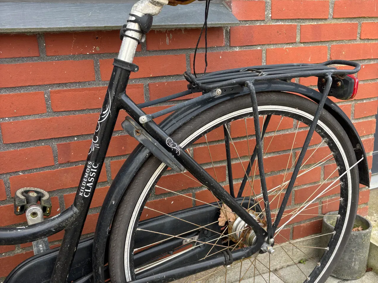 Billede 3 - Trænger til en kærlig hånd