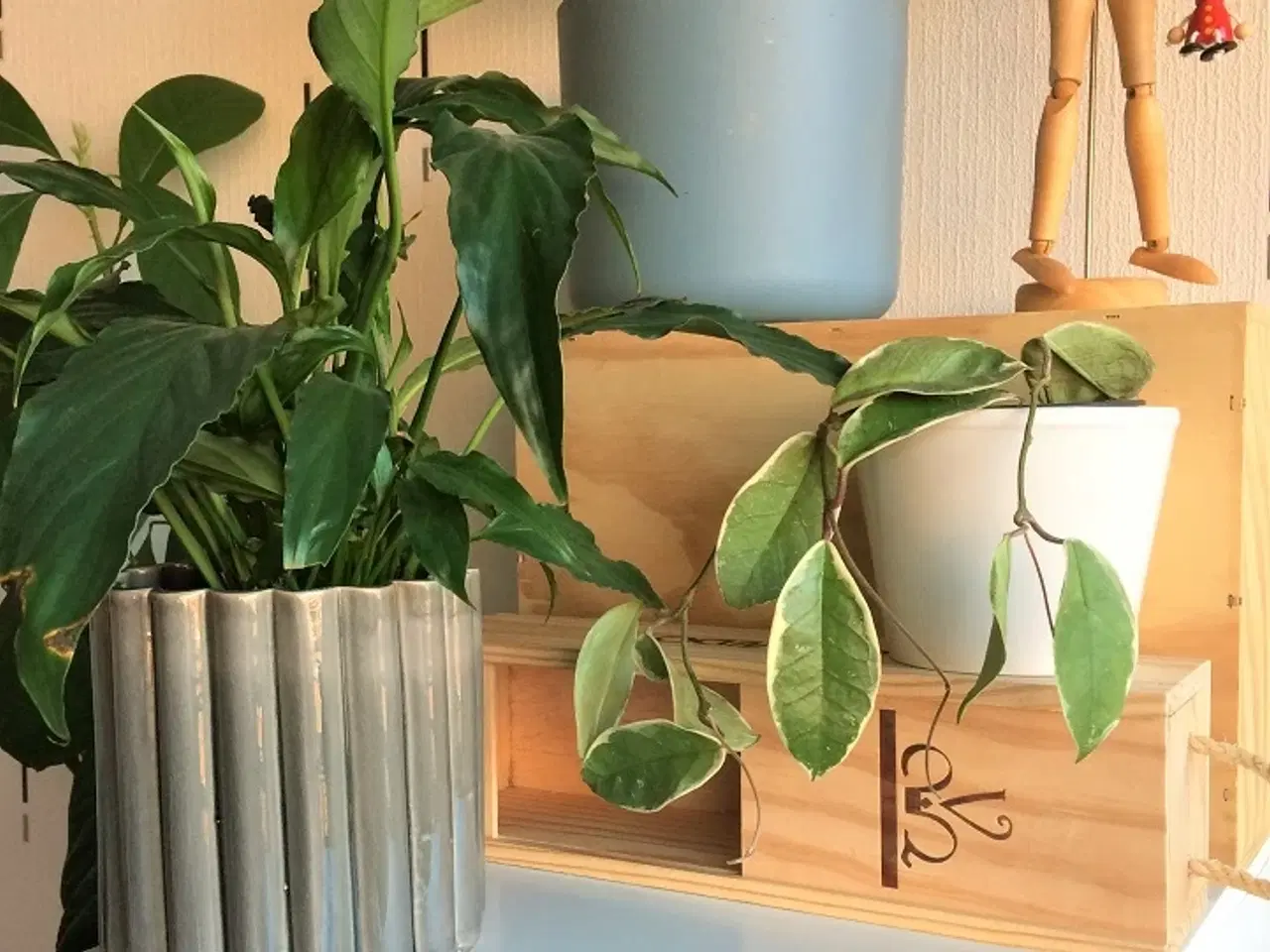 Billede 9 - Vinkasse i træ med låg. Størrelse til 6 flasker. 