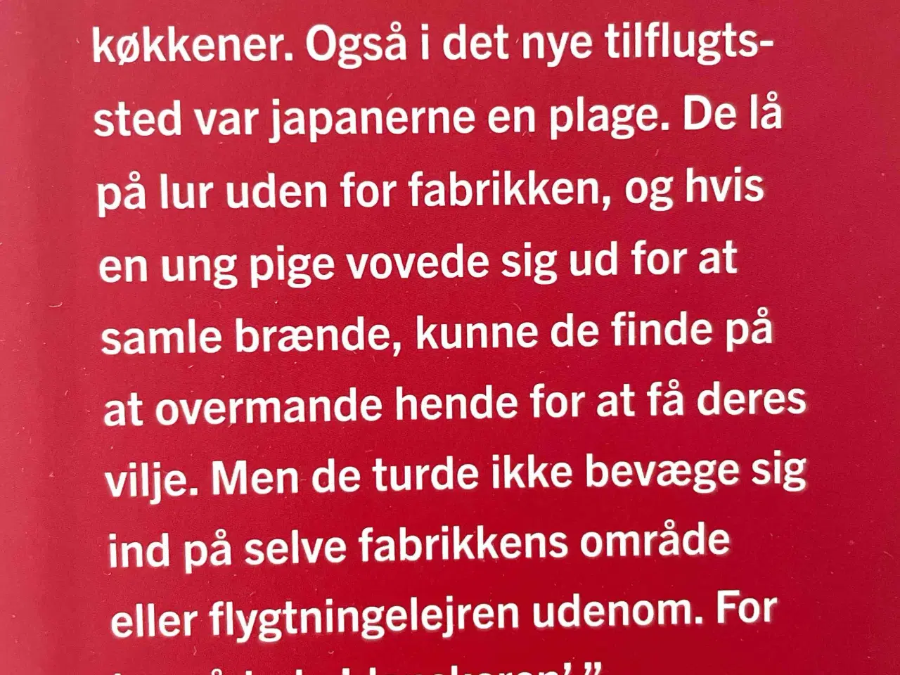 Billede 2 - SINDBERG - Den danske Schindler og Nanjing massakr