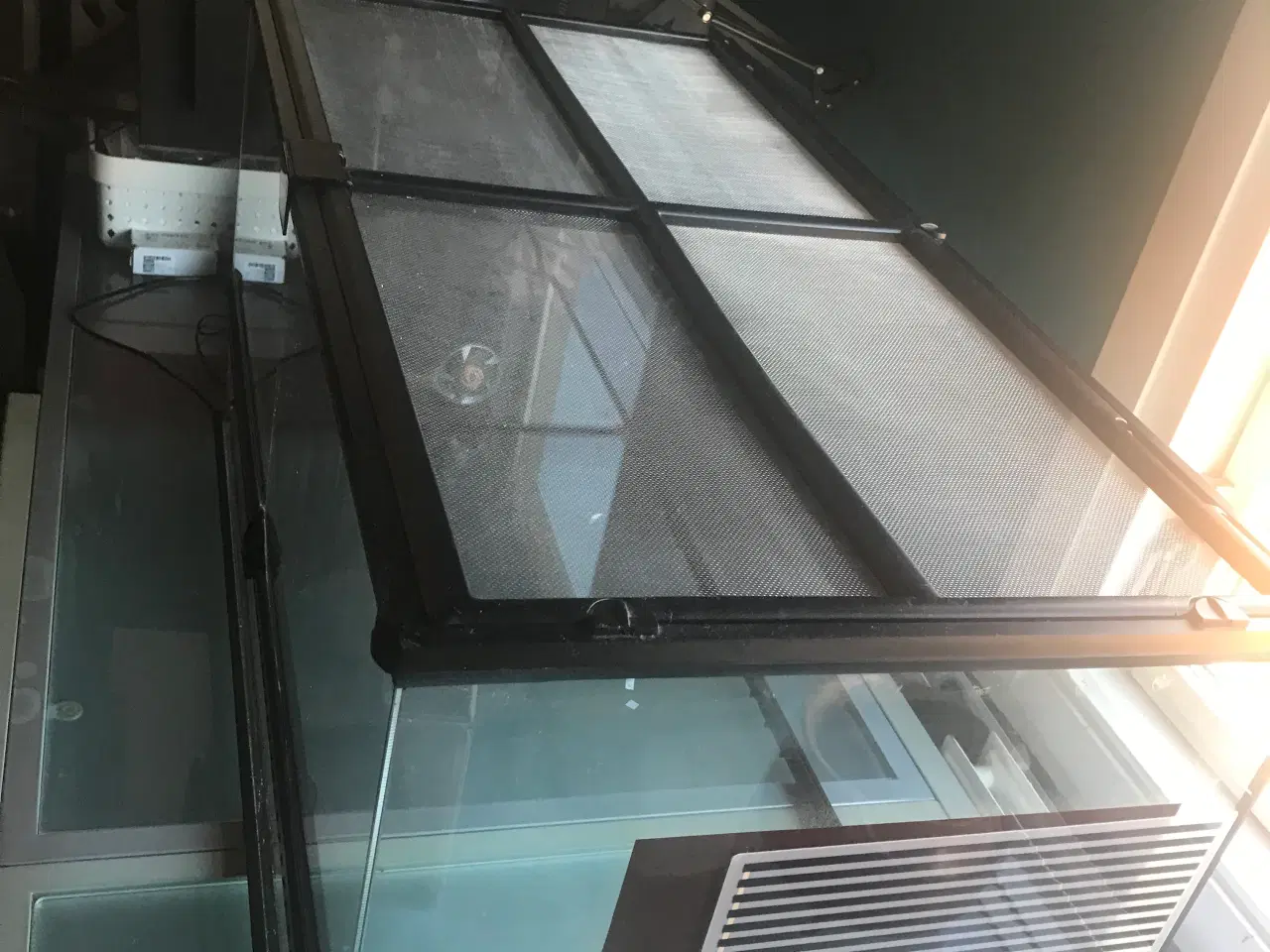 Billede 3 - terrarium