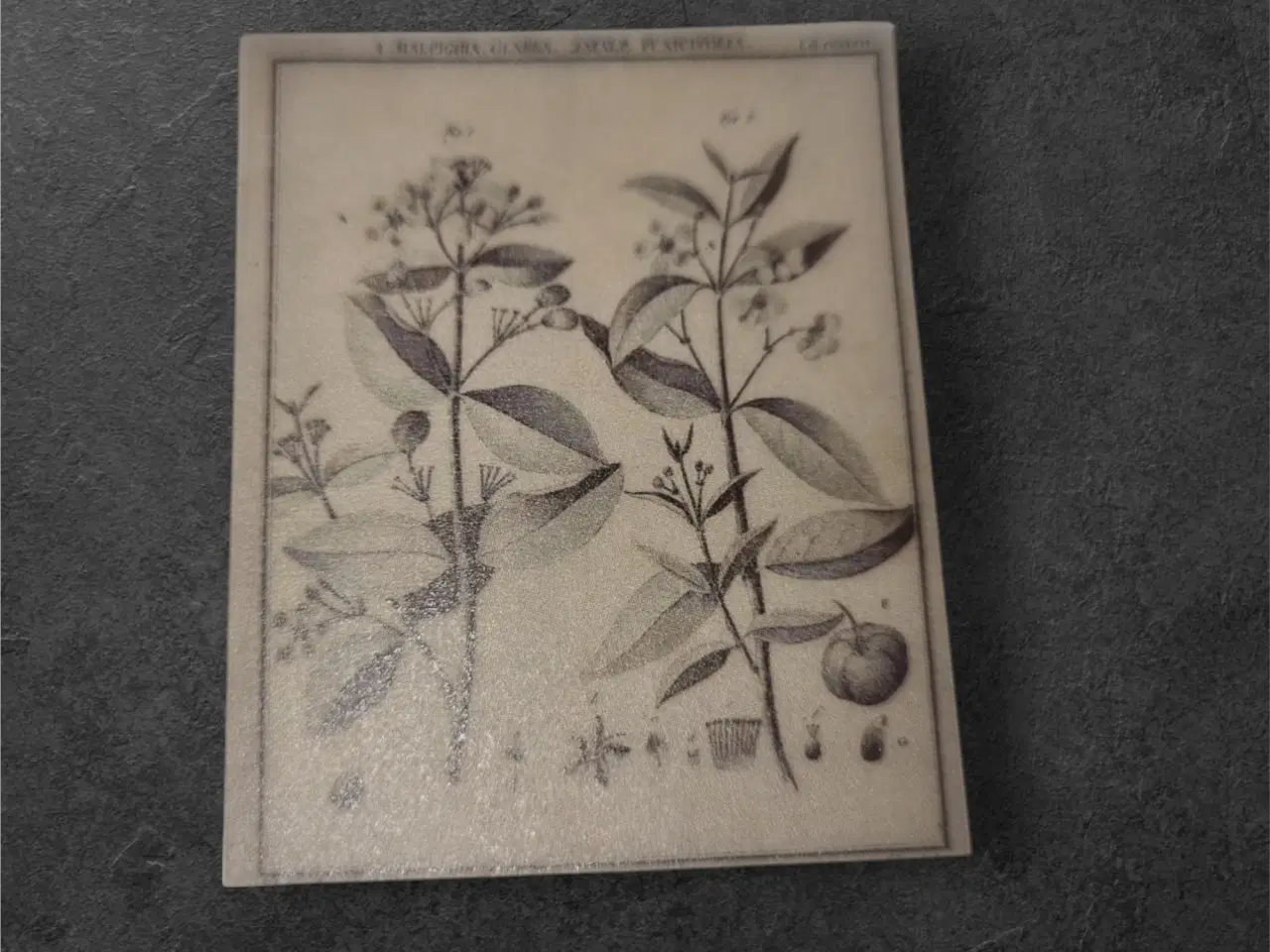 Billede 1 - Elegante botaniske papirark til kreative projekter