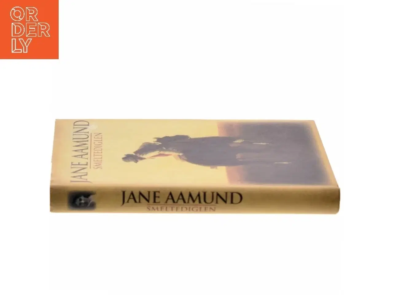 Billede 2 - Smeltediglen : andet bind i slægtskrøniken om de dansk-argentinske indvandrere : roman af Jane Aamund (Bog)
