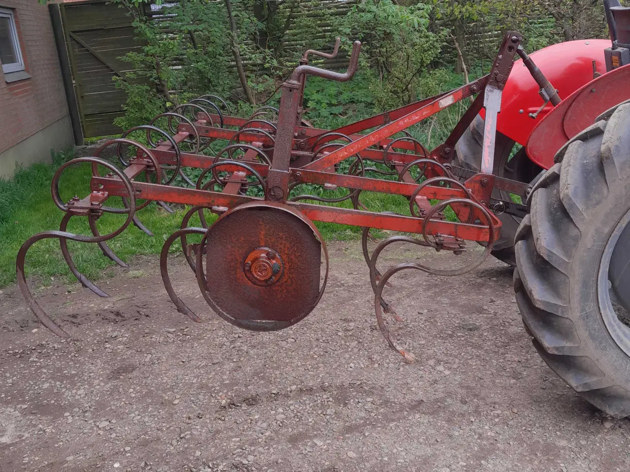 Billede 3 - Kongskilde