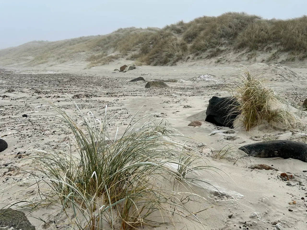 Billede 5 - Vinter- eller påskeferie i sommerhus?