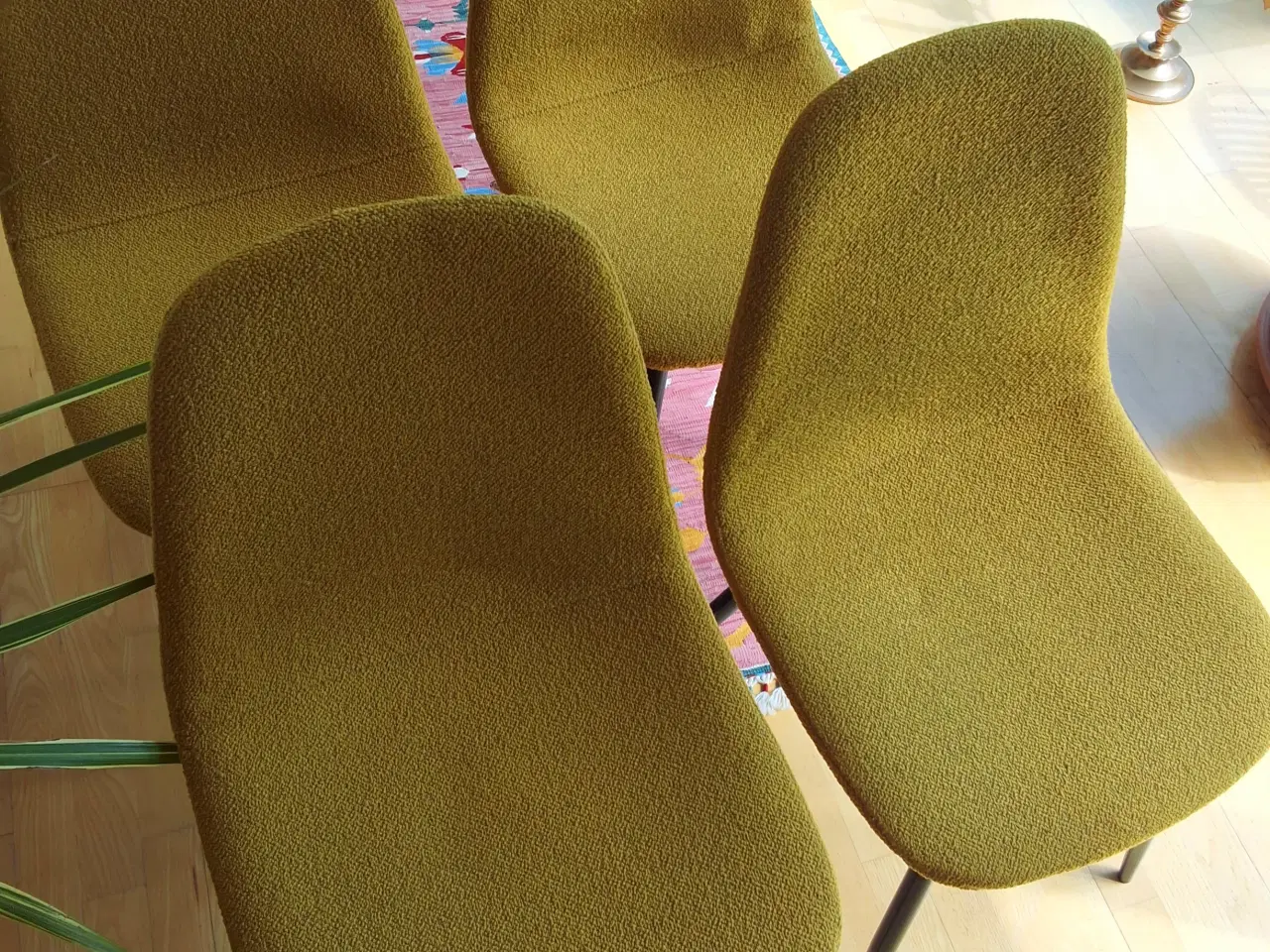 Billede 1 - 4 Elegante ILVA spisebordsstole i karrygul bouclé