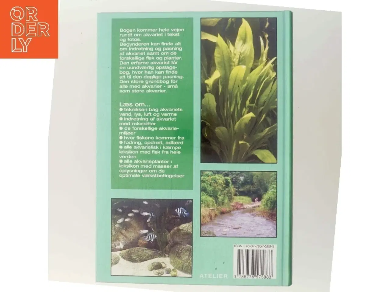 Billede 3 - Alt om akvarier - naturlig pasning af Benny B. Larsen (f. 1939) (Bog)