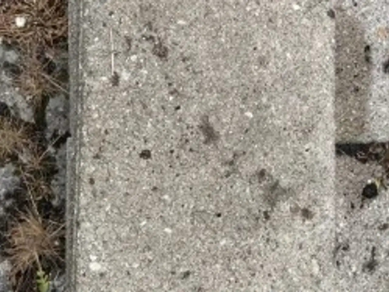 Billede 2 - Betonfliser, 50 x 30 cm, ~110 stk gratis