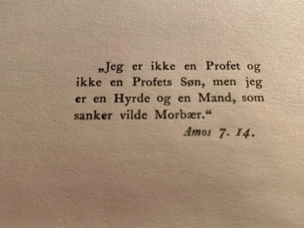 Billede 7 - Rugens Sange