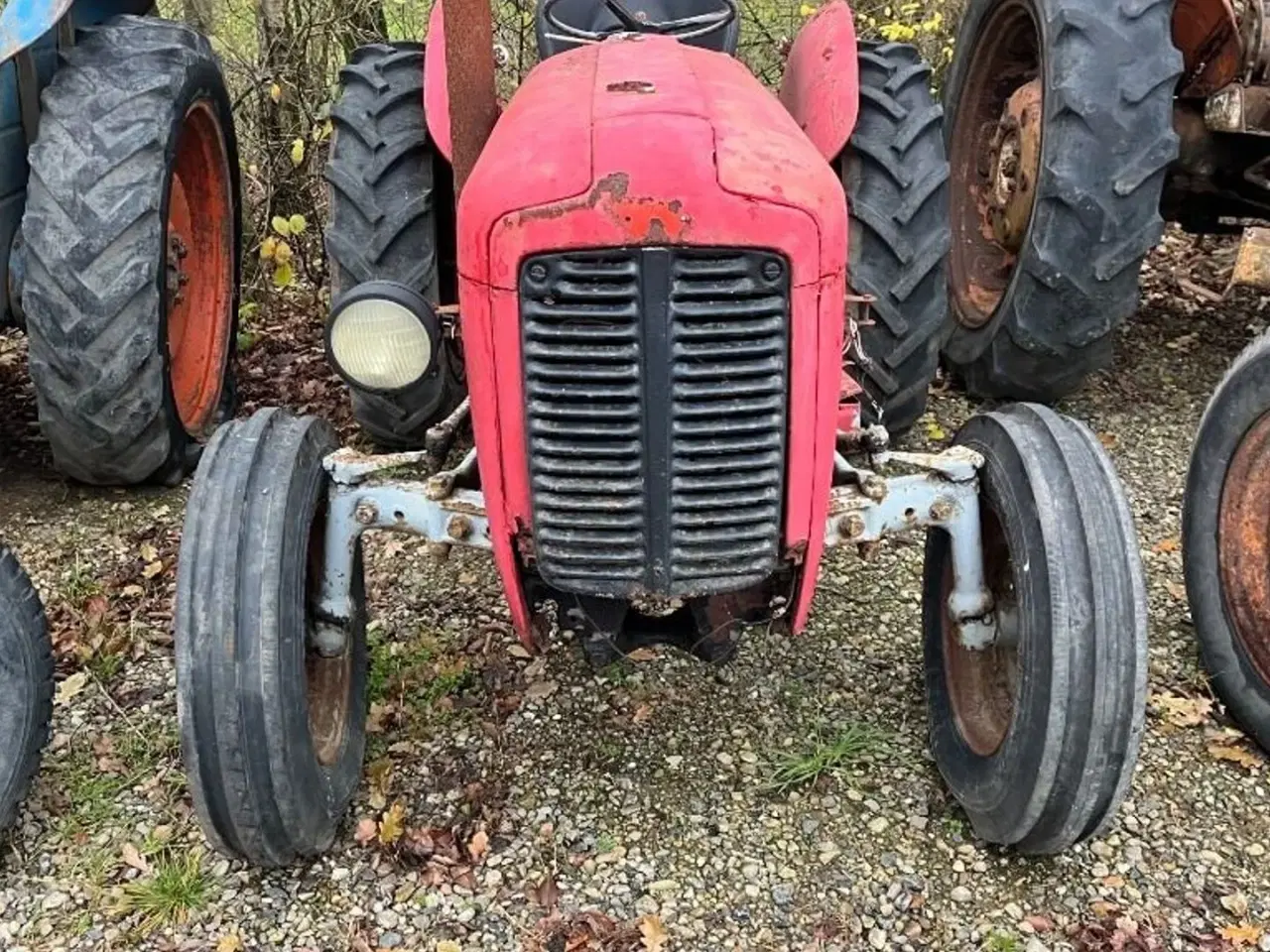 Billede 3 - Massey Ferguson 35 benzin