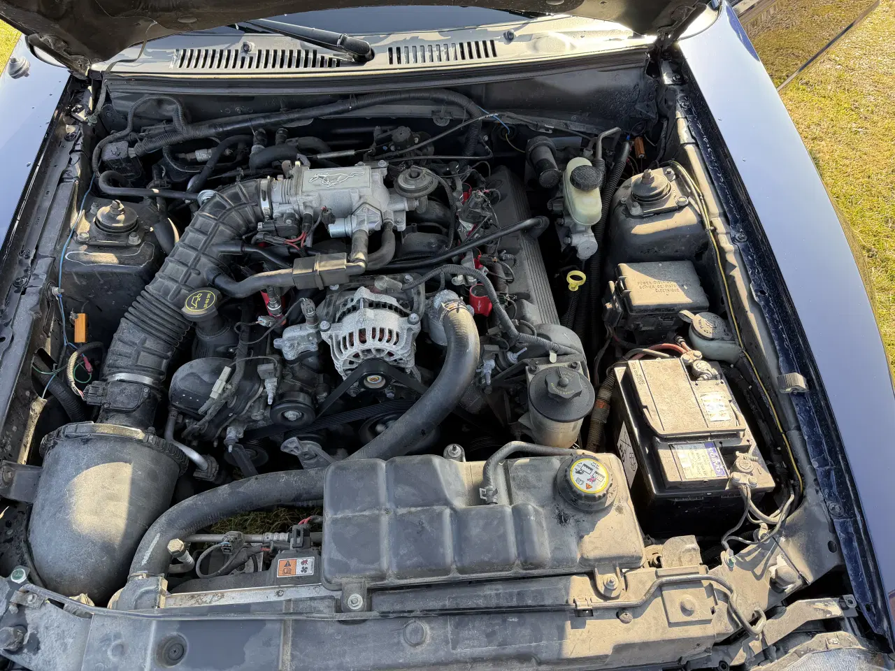 Billede 12 - Mustang 4.6 v8 Cabriolet 