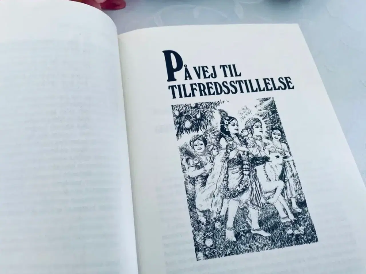 Billede 9 - Naturlig glæde bog 