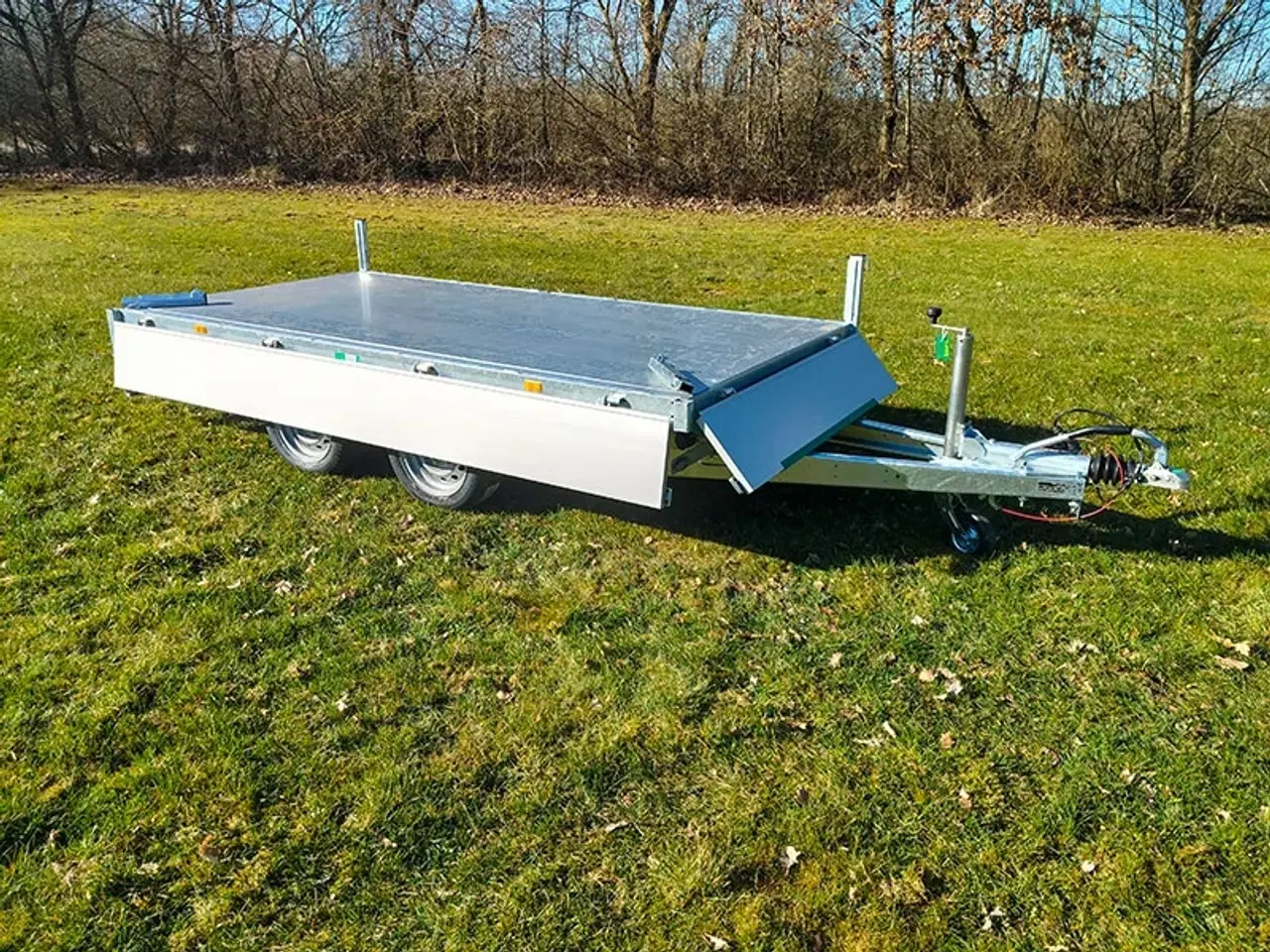 Billede 6 - EDUARD trailer 3116-2700.63 EL tip