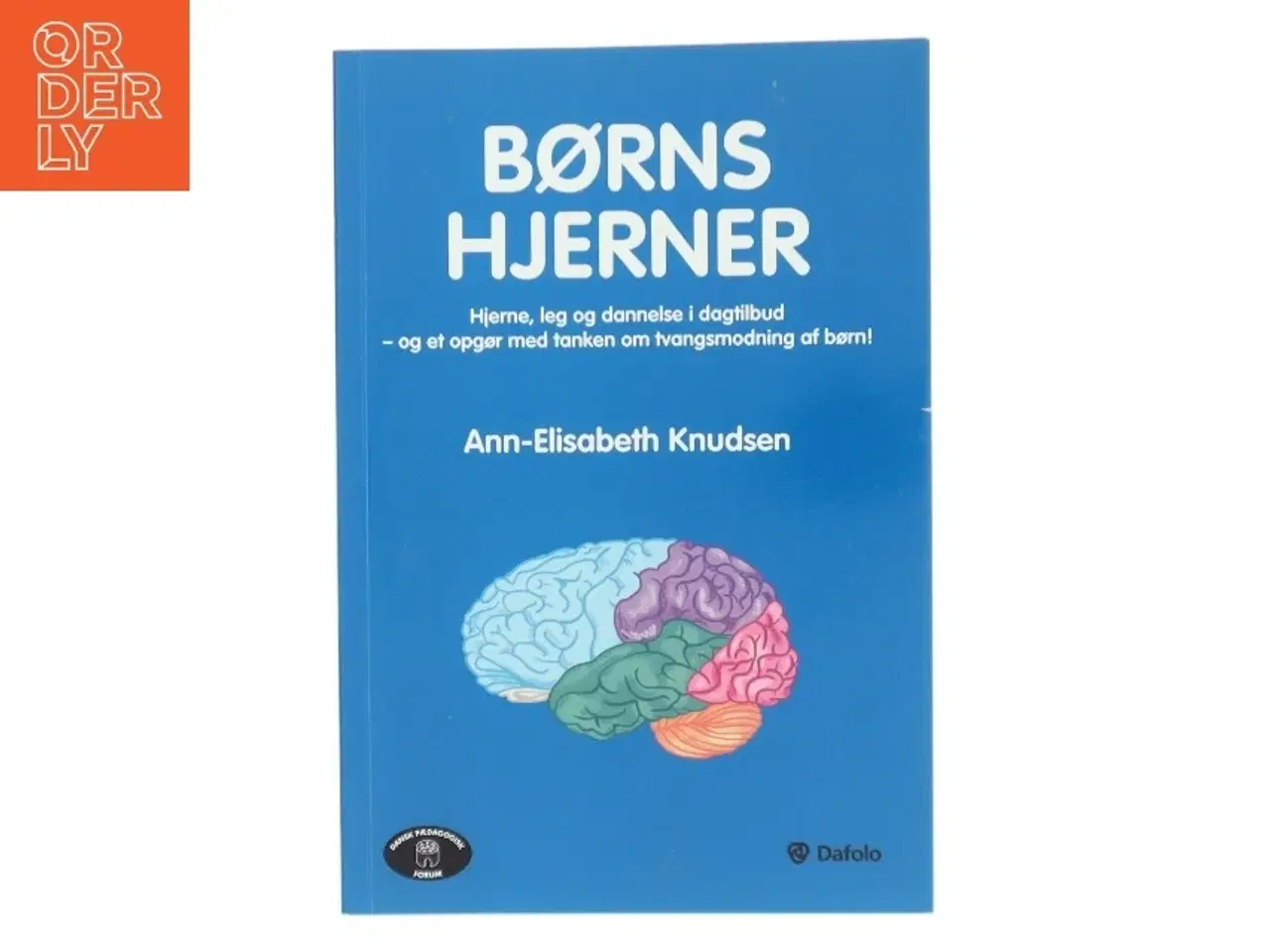 Billede 1 - BØRNS HJERNER af Ann-Elisabeth Knudsen (Bog)