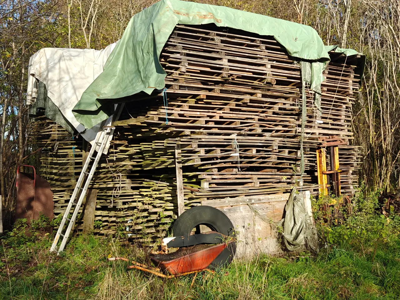 Billede 1 - Brænde, palletræ