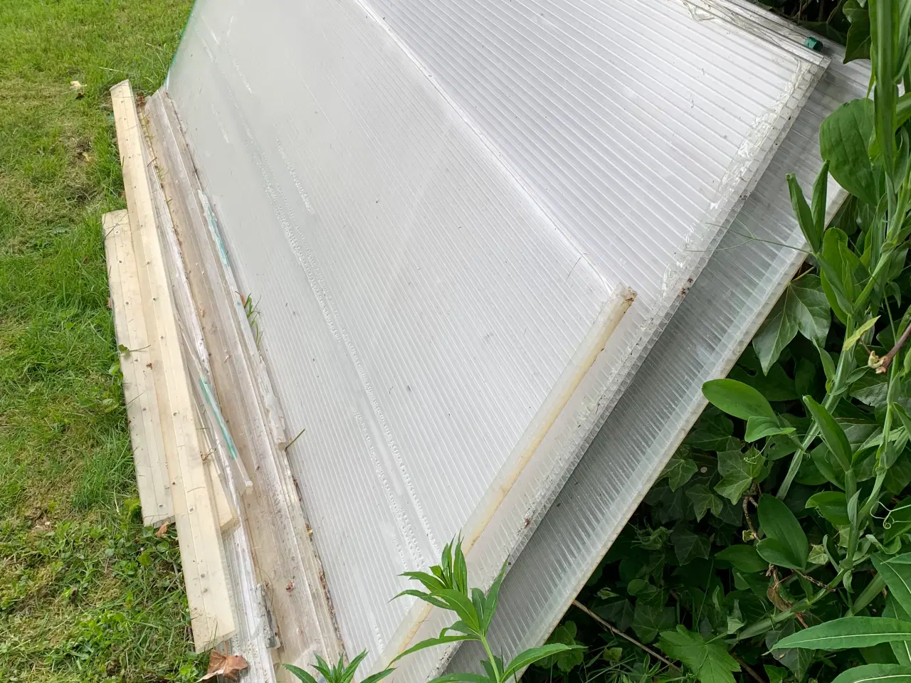 Billede 2 - Termotagplader