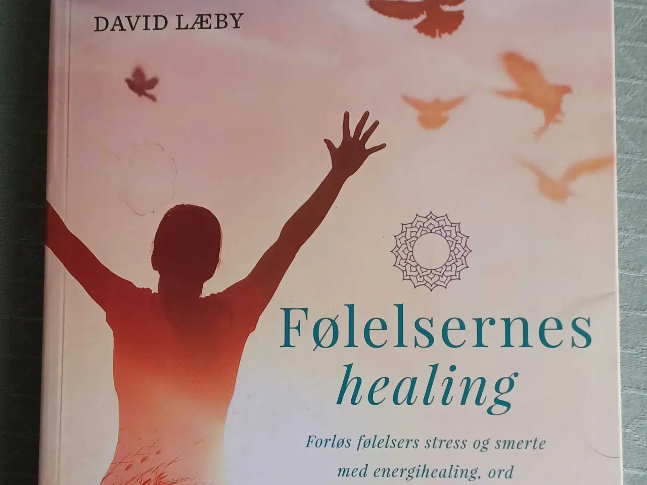 Billede 1 - Følelsernes healing
