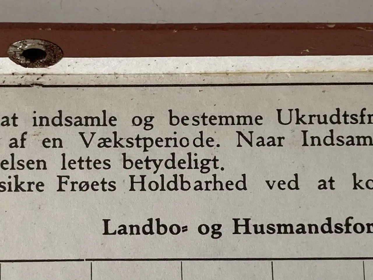 Billede 4 - Frøsamling i æske, ca. 1955