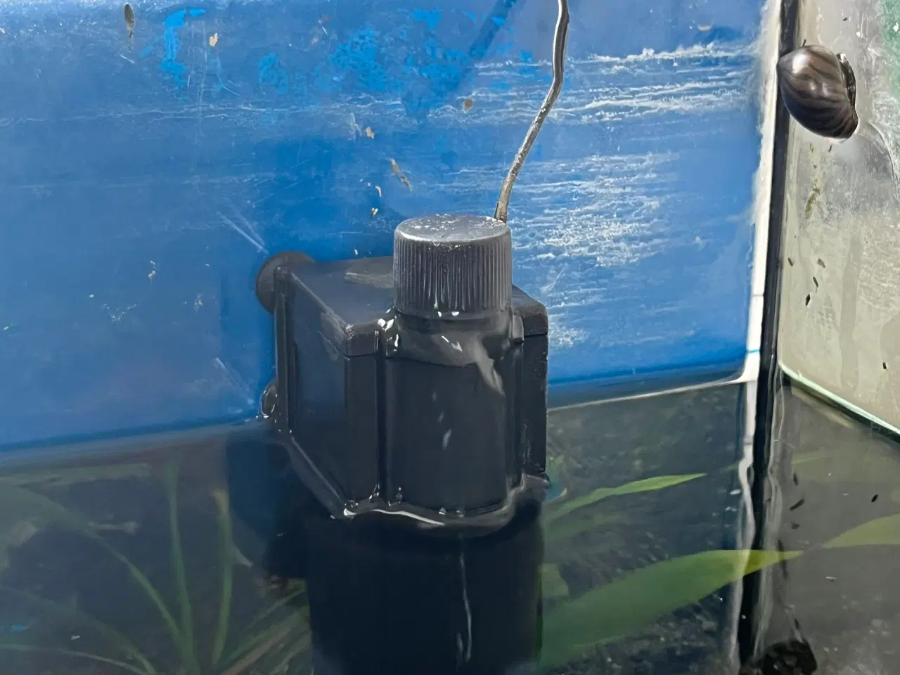 Billede 4 - Akvarie 54L