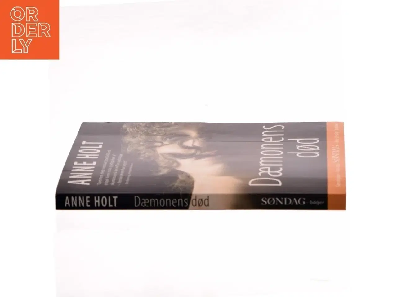 Billede 2 - Dæmonens død af Anne Holt (Bog)