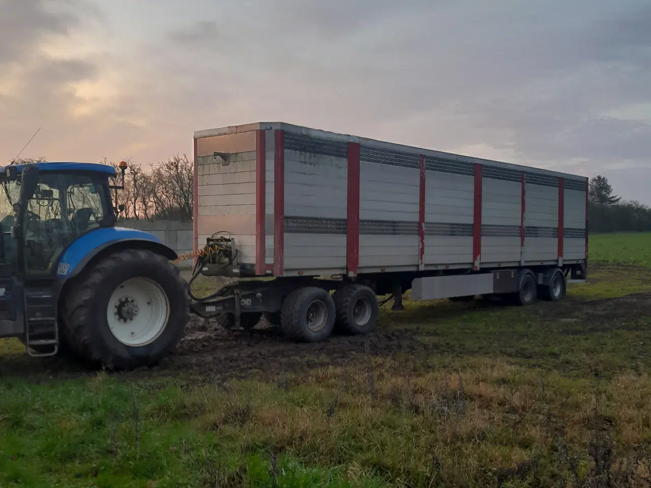 Billede 1 - HFR Grisetrailer med 2 dæk.