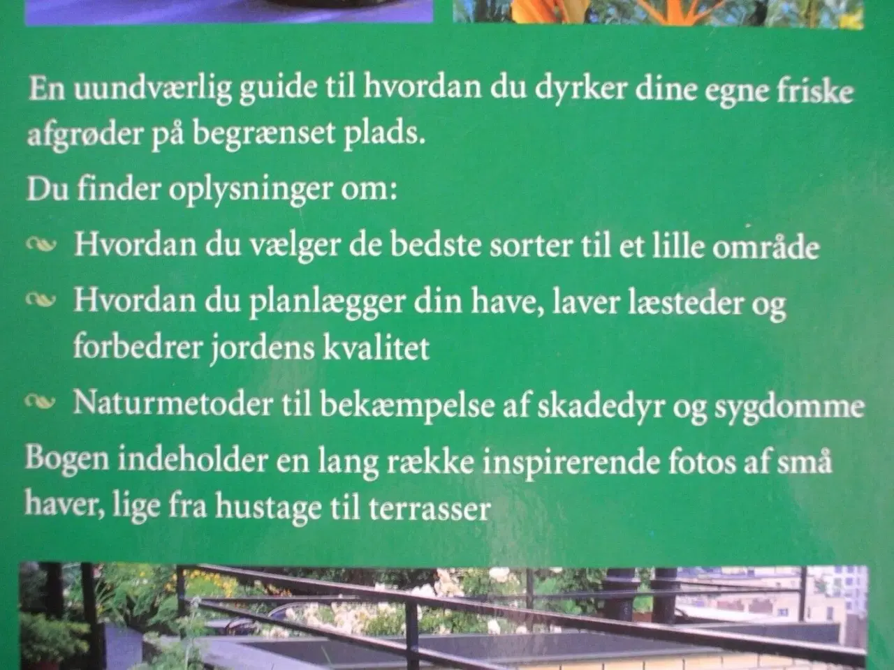 Billede 3 - den praktiske køkkenhave - grøntsager, urter,
