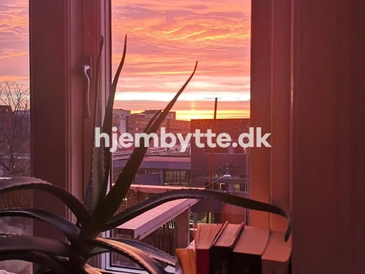 Billede 15 - Hjembytte - Scandiagade