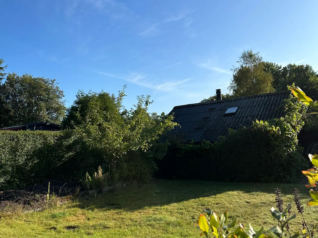 Billede 6 - Skøn kolonihave byttes