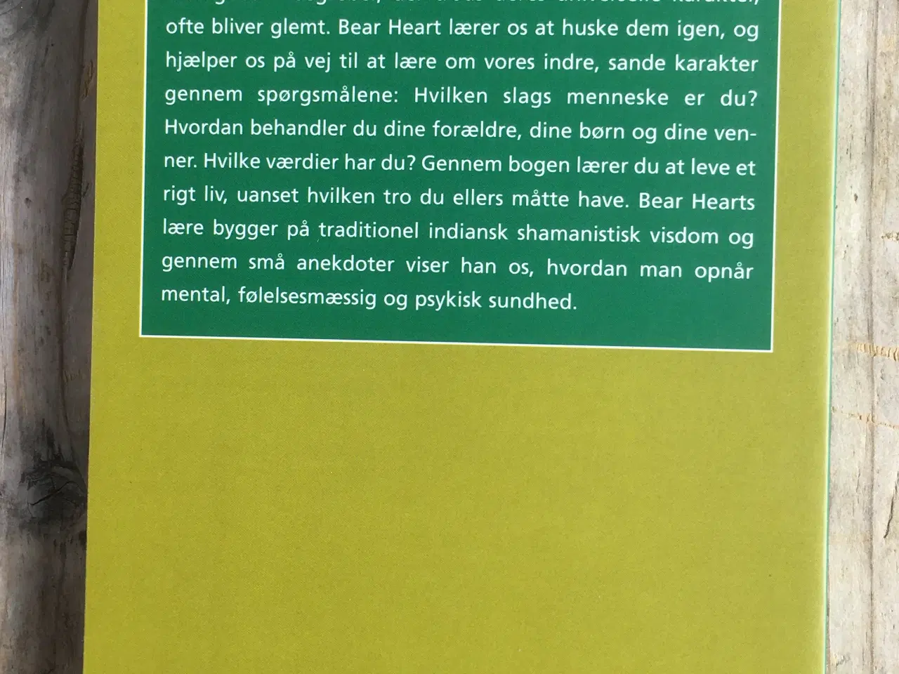 Billede 2 - Vinden er min moder, Bear Heart
