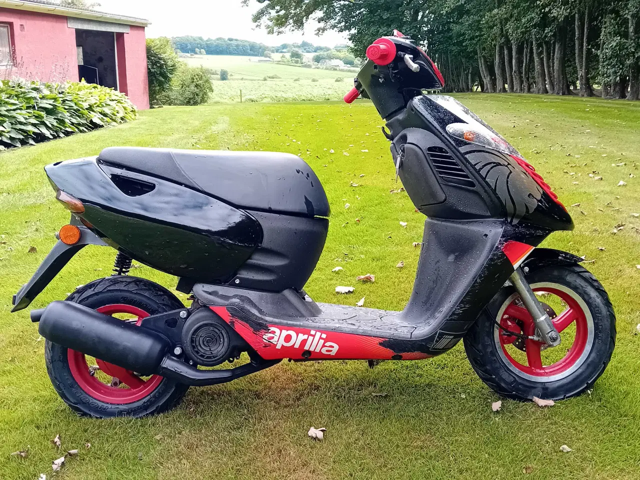 Billede 3 - Aprilia sonic