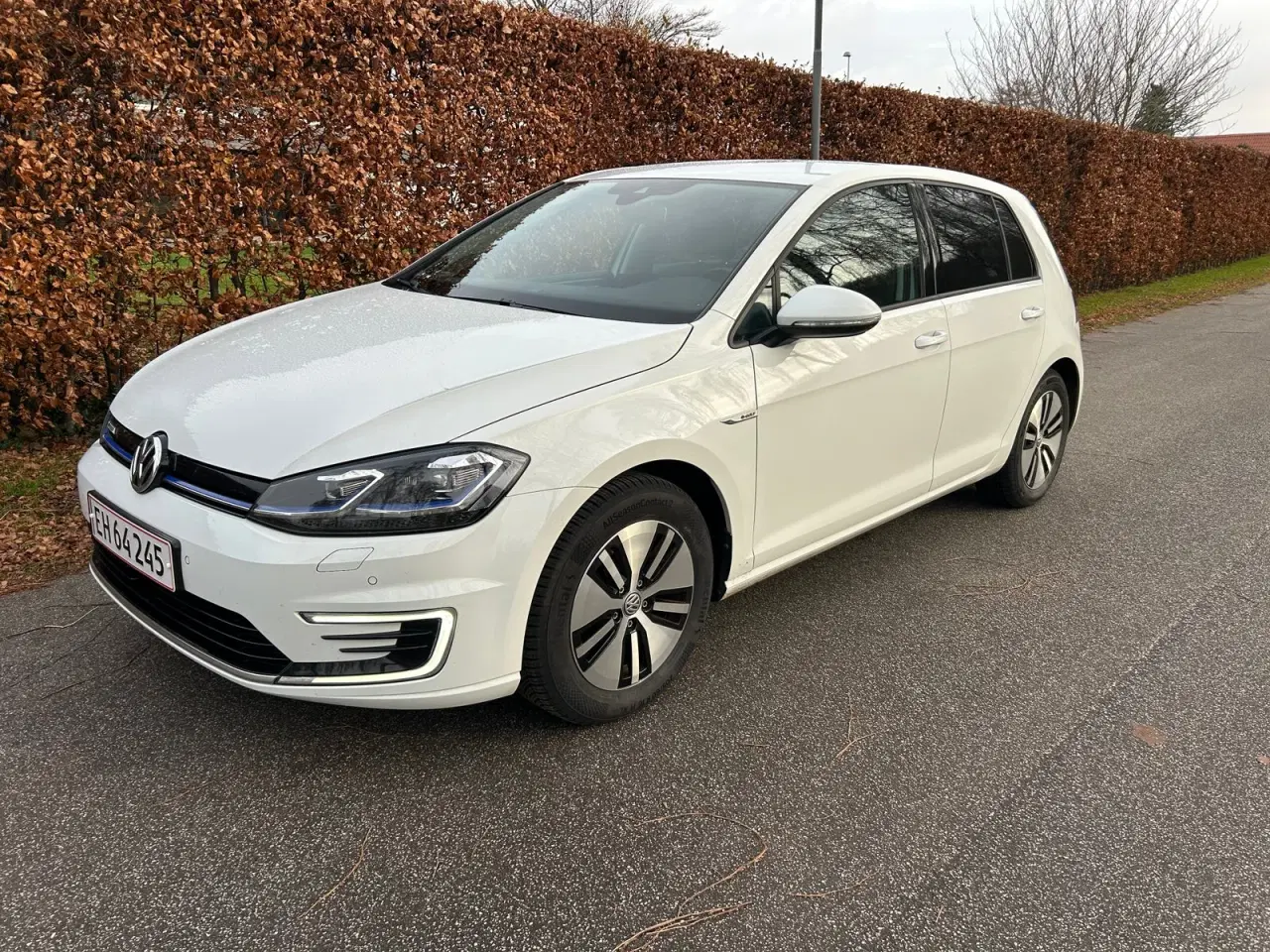 Billede 1 - VW e-Golf VII