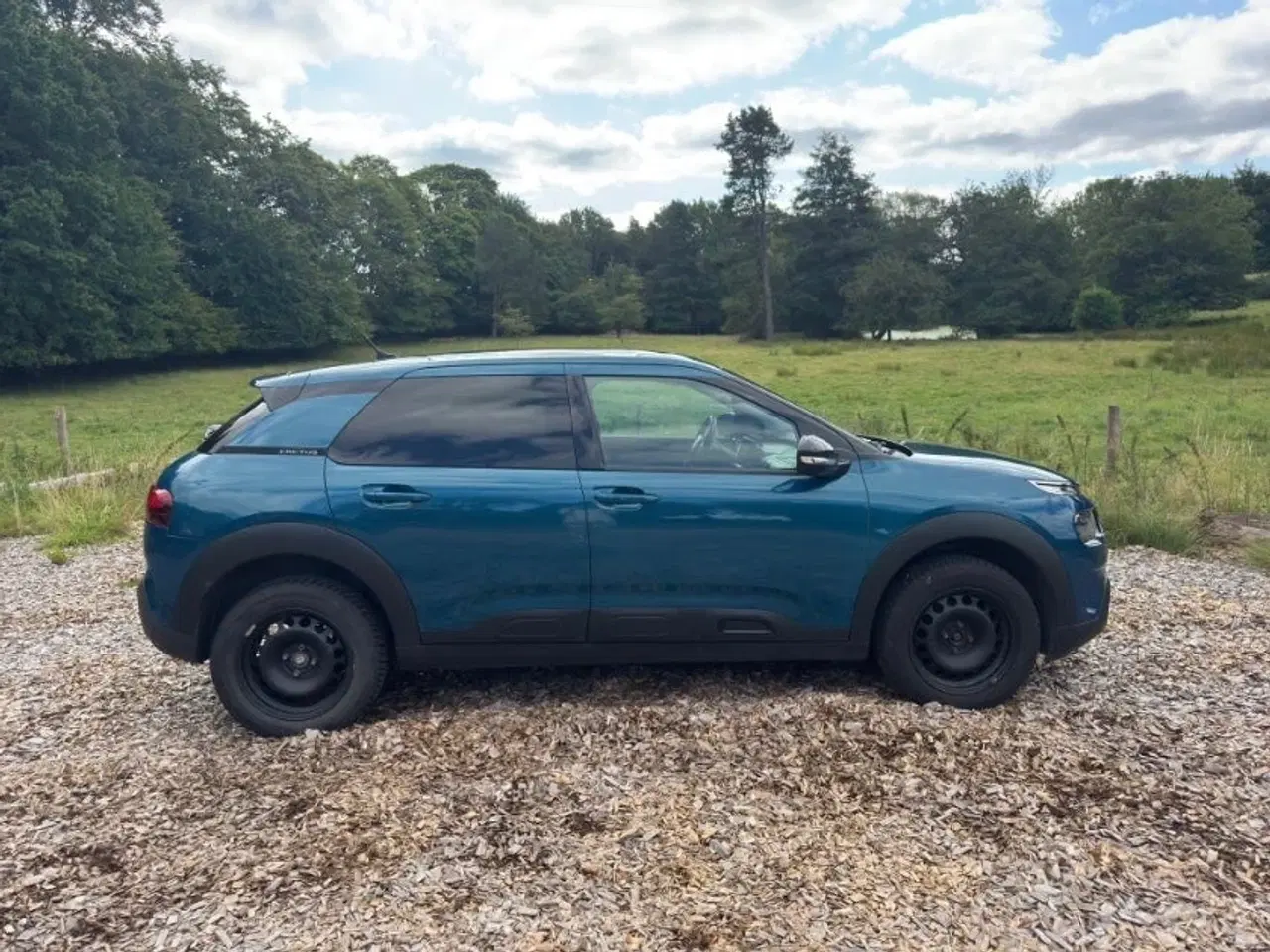 Billede 5 - Citroën C4 Cactus 1,6 BlueHDi 100 SkyLine