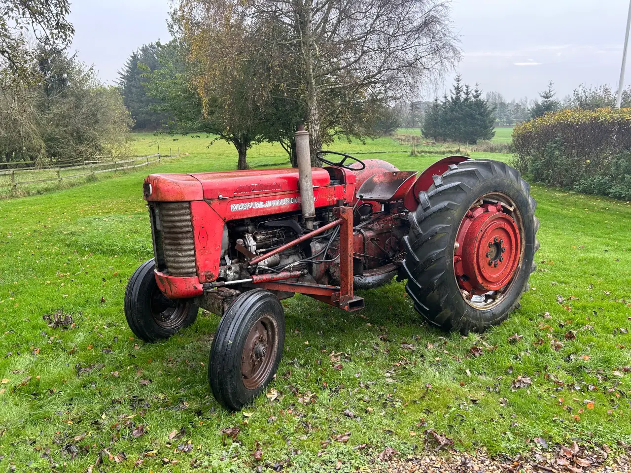 Billede 1 - Massey Ferguson 65