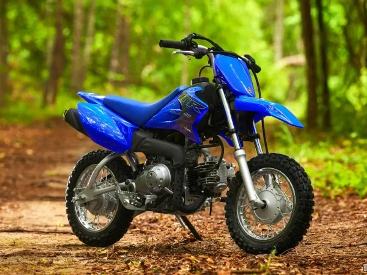 Billede 3 - Yamaha TTR 50