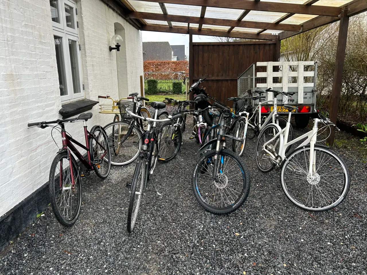 Billede 2 - Mange Cykler sælges 