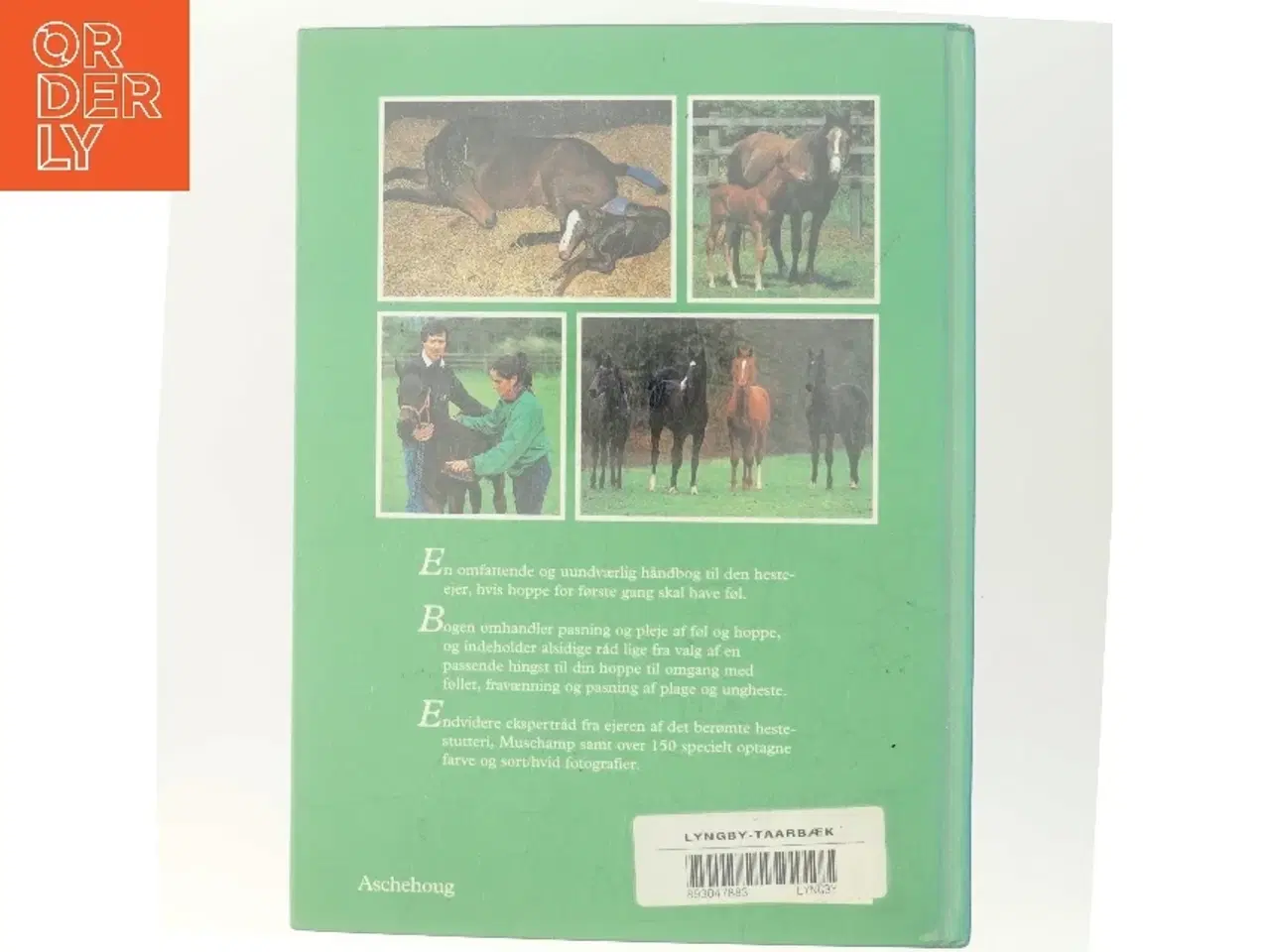Billede 3 - Fra føl til ridehest af Janet Lorch (Bog)