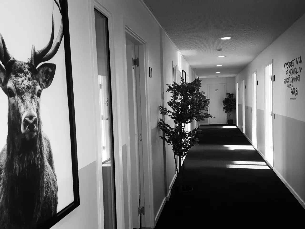 Billede 3 - Lej kontor i Ringsted