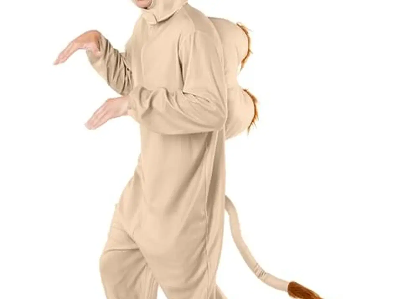 Billede 1 - Karnevals   Kamel Dragt