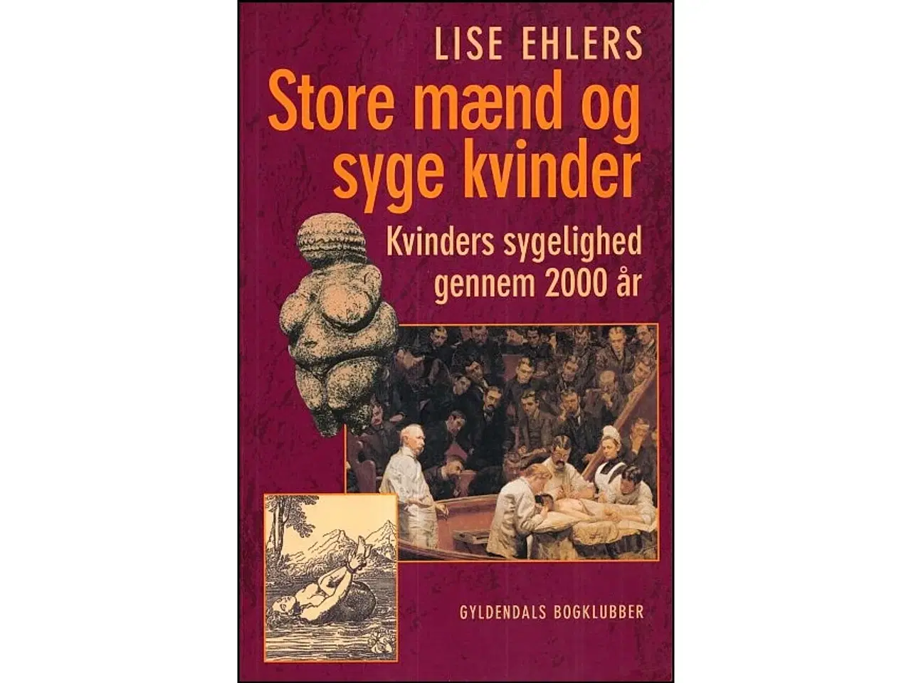 Billede 1 - Store mænd og syge kvinder