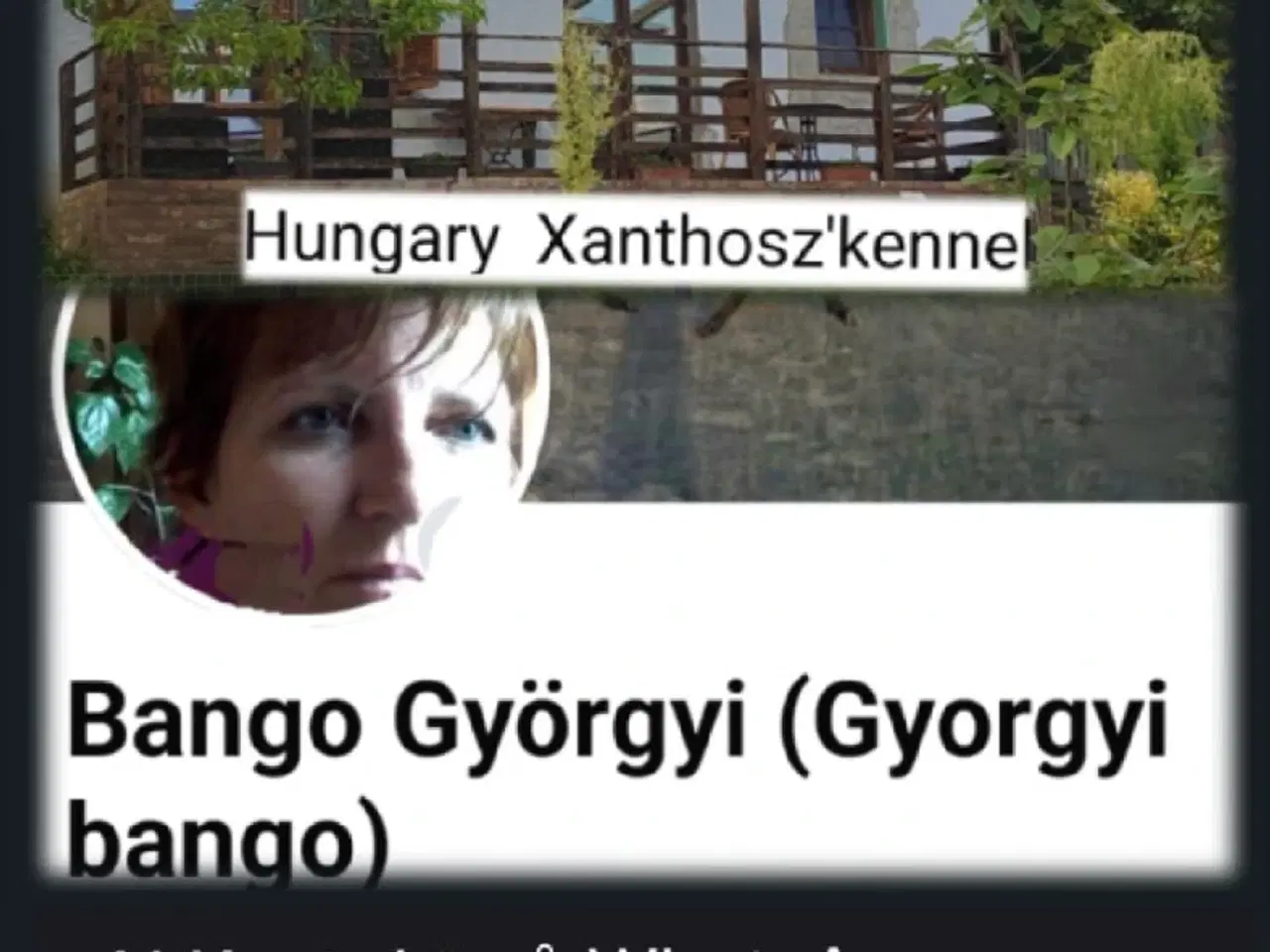 Billede 13 - Fransk Velvet bulldog. NEDSAT!